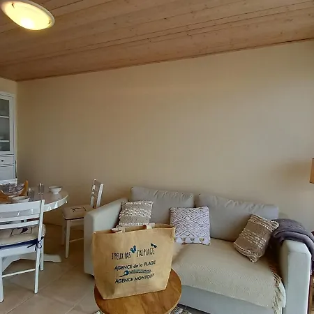 Apartment Bel 2 Renove Face Avec Balcon Et Wifi - - Fr-1-323-273 *